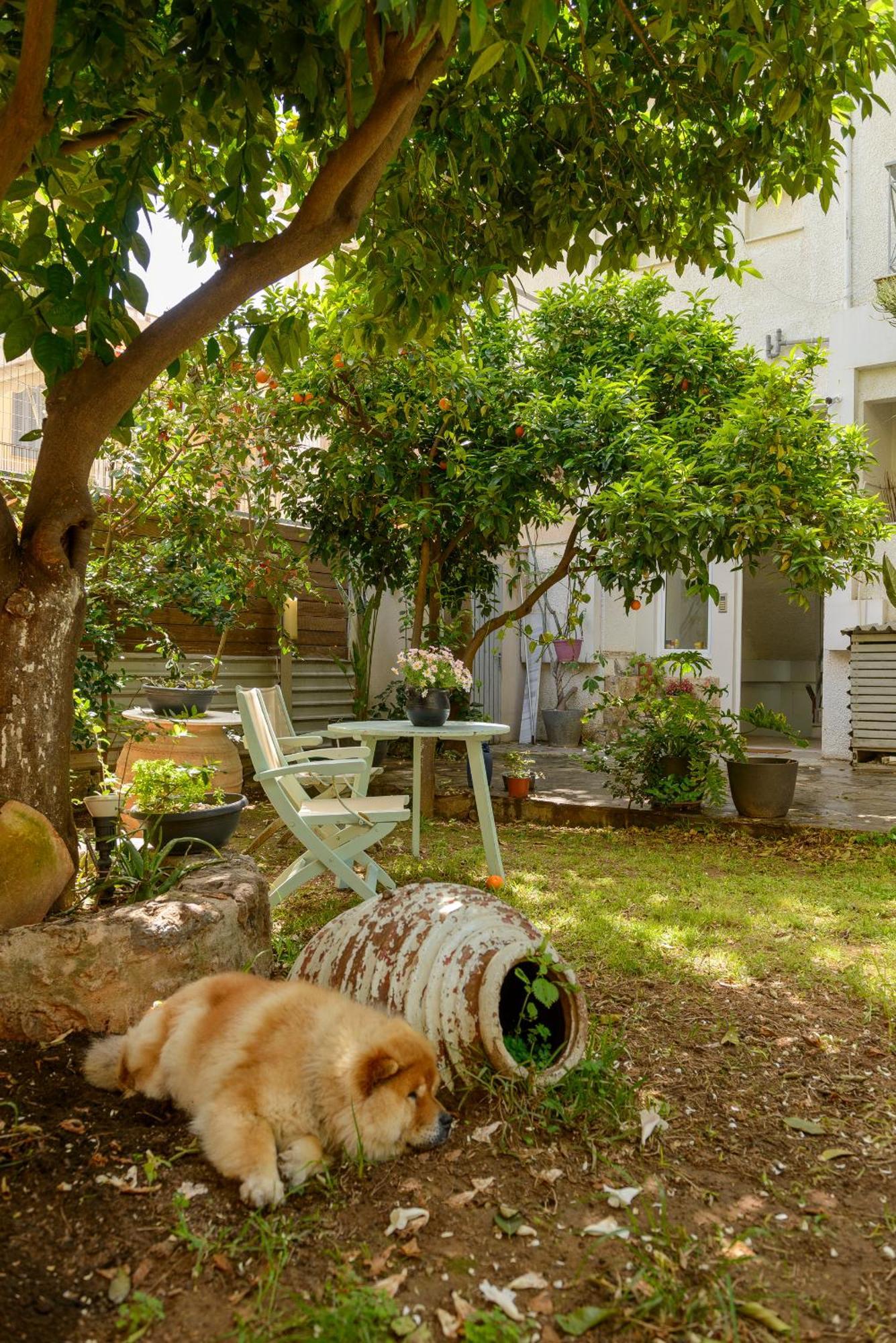Agali 1 Mesonet In Front Of The Sea Apartment Akrogiali ภายนอก รูปภาพ